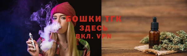 прущие грибы Алзамай