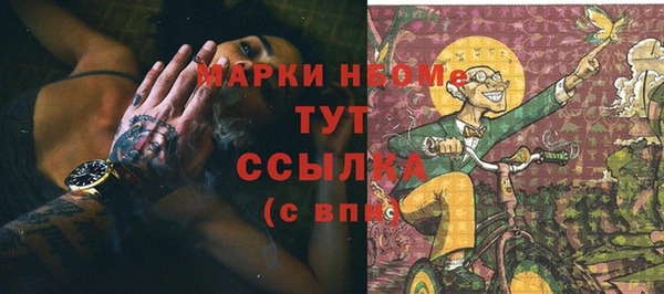 прущие грибы Алзамай