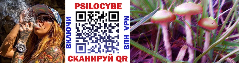 наркота  Салават  Псилоцибиновые грибы Psilocybe 