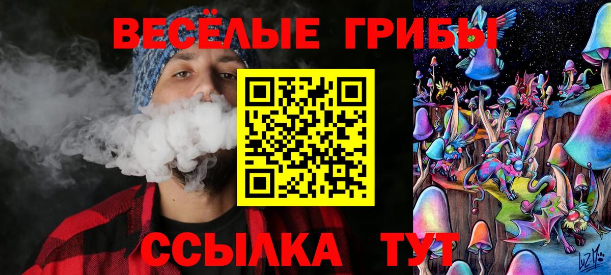 Псилоцибиновые грибы ЛСД Салават