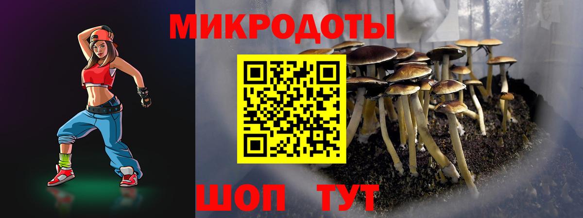 Псилоцибиновые грибы мицелий  Вход с VPN  Салават 