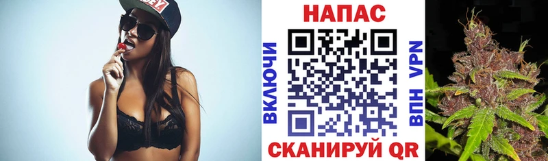 наркота  Салават  Бошки марихуана семена 